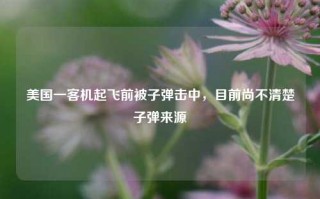 美国一客机起飞前被子弹击中，目前尚不清楚子弹来源