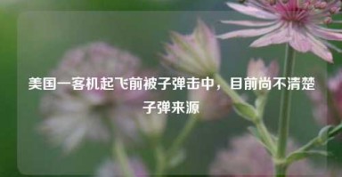 美国一客机起飞前被子弹击中，目前尚不清楚子弹来源