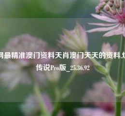 全网最精准澳门资料天肖澳门天天的资料,炉石传说Pro版_25.36.92