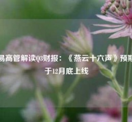 网易高管解读Q3财报：《燕云十六声》预期将于12月底上线