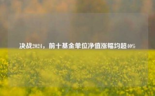 决战2024，前十基金单位净值涨幅均超40%