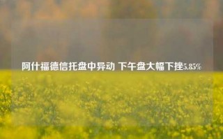 阿什福德信托盘中异动 下午盘大幅下挫5.85%