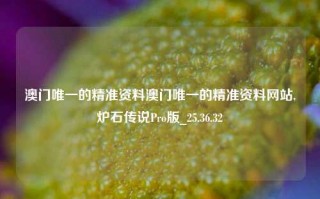 澳门唯一的精准资料澳门唯一的精准资料网站,炉石传说Pro版_25.36.32