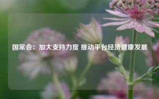 国常会：加大支持力度 推动平台经济健康发展