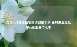 美国10月独栋住宅建造数量下滑 新房供应量处于08年来低位水平