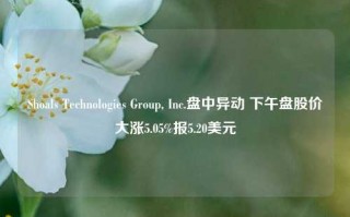 Shoals Technologies Group, Inc.盘中异动 下午盘股价大涨5.05%报5.20美元