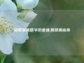 给解放阁题字的是谁,解放阁由来