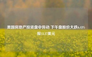 美国房地产投资盘中异动 下午盘股价大跌6.43%报13.37美元