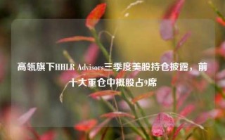 高瓴旗下HHLR Advisors三季度美股持仓披露，前十大重仓中概股占9席