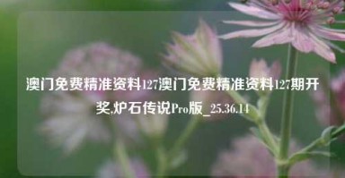 澳门免费精准资料127澳门免费精准资料127期开奖,炉石传说Pro版_25.36.14