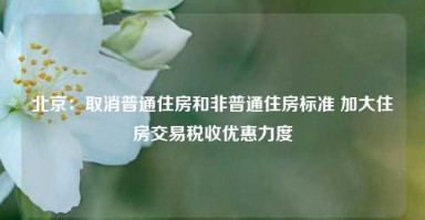 北京：取消普通住房和非普通住房标准 加大住房交易税收优惠力度