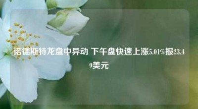 诺德斯特龙盘中异动 下午盘快速上涨5.01%报23.49美元