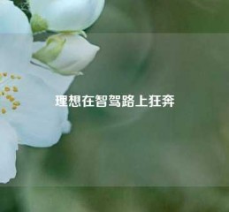 理想在智驾路上狂奔