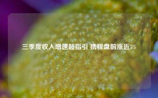 三季度收入增速超指引 携程盘前涨近5%