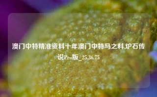 澳门中特精准资料十年澳门中特马之料,炉石传说Pro版_25.36.75