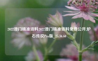 2022澳门精准资料2022澳门精准资料免费公开,炉石传说Pro版_25.36.60