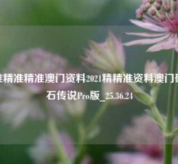 精准精准精准澳门资料2021精精准资料澳门码,炉石传说Pro版_25.36.24