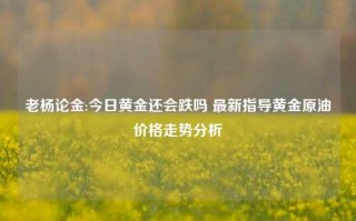 老杨论金:今日黄金还会跌吗 最新指导黄金原油价格走势分析