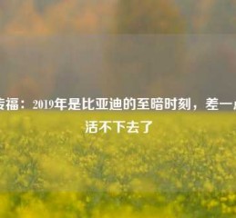 王传福：2019年是比亚迪的至暗时刻，差一点就活不下去了