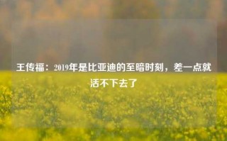 王传福：2019年是比亚迪的至暗时刻，差一点就活不下去了