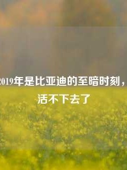 王传福：2019年是比亚迪的至暗时刻，差一点就活不下去了