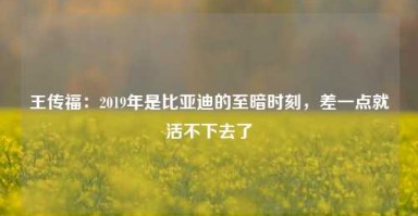 王传福：2019年是比亚迪的至暗时刻，差一点就活不下去了