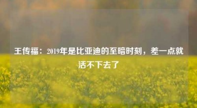 王传福：2019年是比亚迪的至暗时刻，差一点就活不下去了