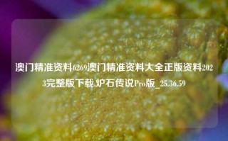 澳门精准资料6269澳门精准资料大全正版资料2023完整版下载,炉石传说Pro版_25.36.59