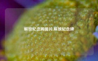 解放纪念阁图片,解放纪念碑