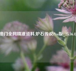 澳门全网精准资料,炉石传说Pro版_25.36.42