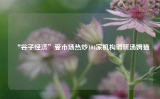 “谷子经济”受市场热炒104家机构调研汤姆猫