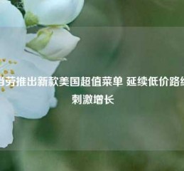 麦当劳推出新款美国超值菜单 延续低价路线以刺激增长