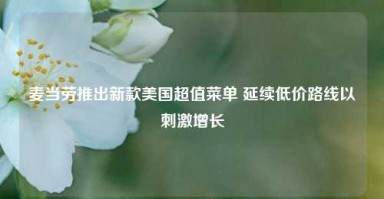 麦当劳推出新款美国超值菜单 延续低价路线以刺激增长