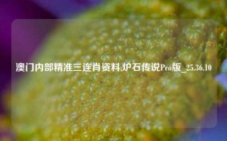 澳门内部精准三连肖资料,炉石传说Pro版_25.36.10