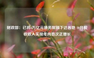 财政部：已将6万亿元债务限额下达各地 10月税收收入实现年内首次正增长