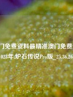 最精准澳门免费资料最精准澳门免费资料大全2023年,炉石传说Pro版_25.36.26