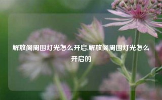 解放阁周围灯光怎么开启,解放阁周围灯光怎么开启的