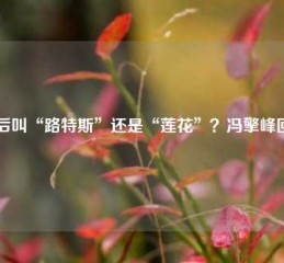 以后叫“路特斯”还是“莲花”？冯擎峰回应