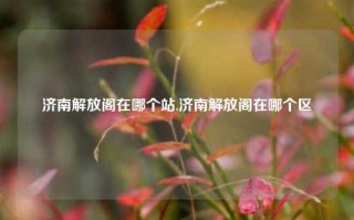 济南解放阁在哪个站,济南解放阁在哪个区