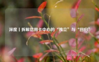 深度丨拆解信用卡中心的“独立”与“回归”