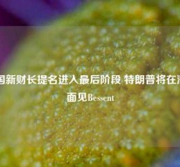 美国新财长提名进入最后阶段 特朗普将在潜邸面见Bessent