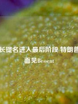 美国新财长提名进入最后阶段 特朗普将在潜邸面见Bessent