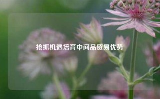 抢抓机遇培育中间品贸易优势