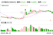 正丹股份：终止2024年度向特定对象发行股票事项