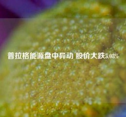 普拉格能源盘中异动 股价大跌5.08%