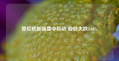 普拉格能源盘中异动 股价大跌5.08%