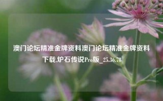 澳门论坛精准金牌资料澳门论坛精准金牌资料下载,炉石传说Pro版_25.36.78