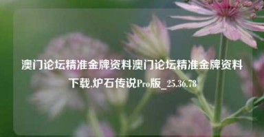 澳门论坛精准金牌资料澳门论坛精准金牌资料下载,炉石传说Pro版_25.36.78