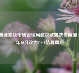 欧洲证券及市场管理局建议欧盟效仿美国 2027年10月改为T+1结算周期