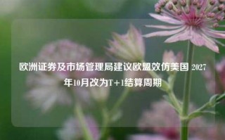 欧洲证券及市场管理局建议欧盟效仿美国 2027年10月改为T+1结算周期